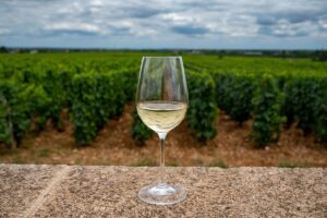 Messinia Terroirs